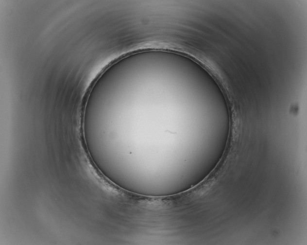 X0000111620896200907311200