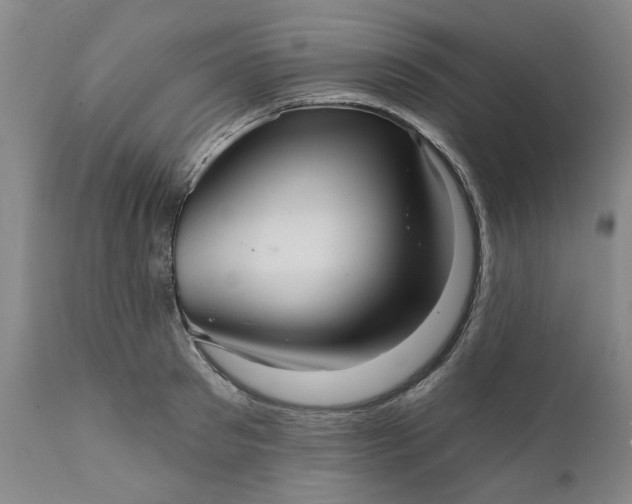 X0000111620897200907311200