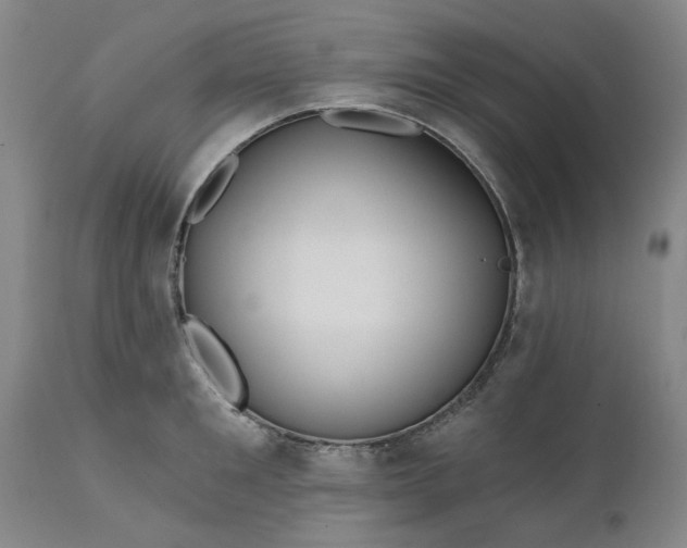 X0000111620901200907311159