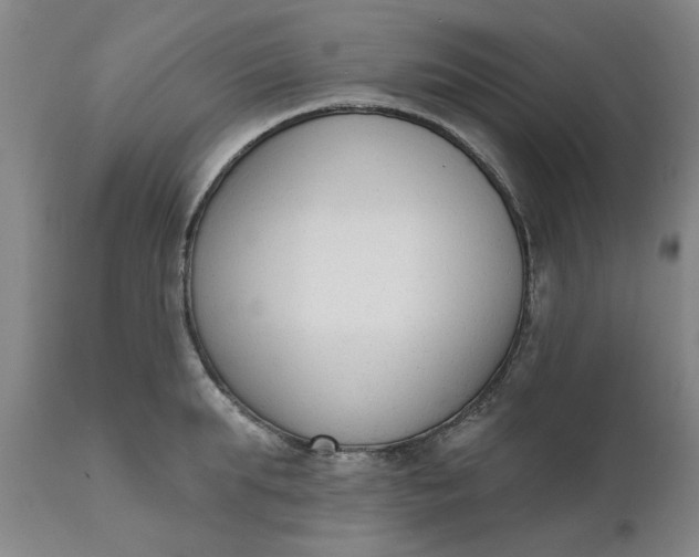 X0000111620903200907311159