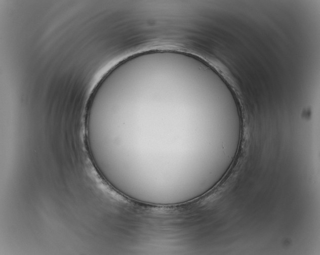 X0000111620904200907311159