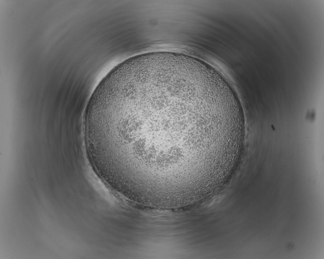 X0000111620907200907311159