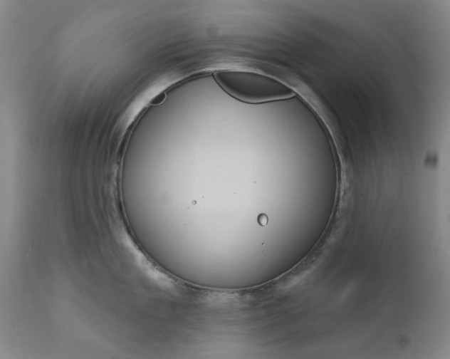 X0000111620909200907311159