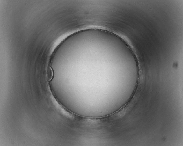 X0000111620910200907311159