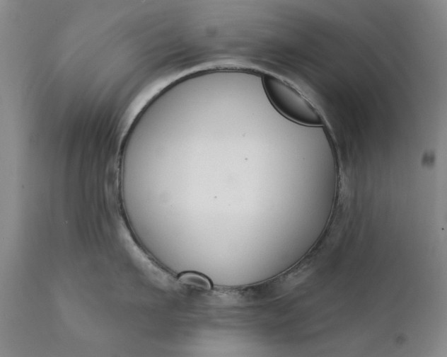 X0000111620911200907311159