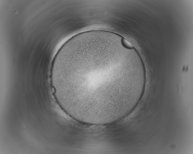 X0000111620912200907311159