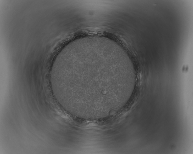 X0000111620913200907311159