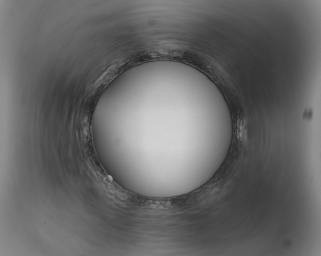 X0000111620915200907311159