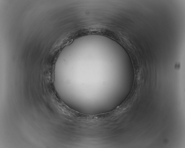 X0000111620916200907311159