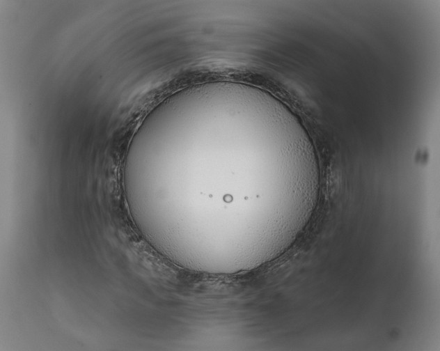 X0000111620917200907311159