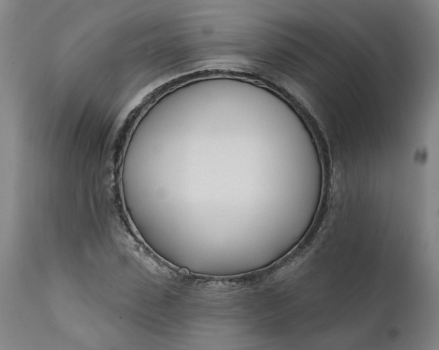 X0000111620923200907311159