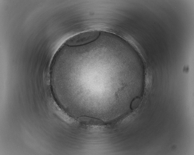 X0000111620924200907311159