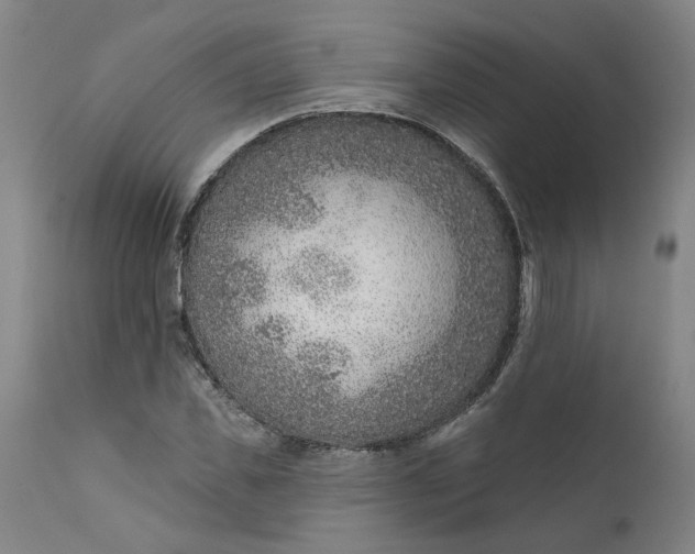 X0000111620925200907311159