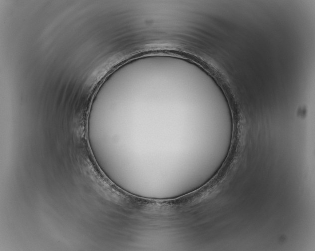 X0000111620929200907311159