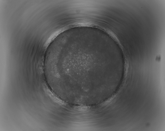 X0000111620930200907311159