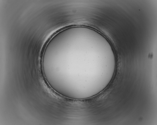 X0000111620932200907311159