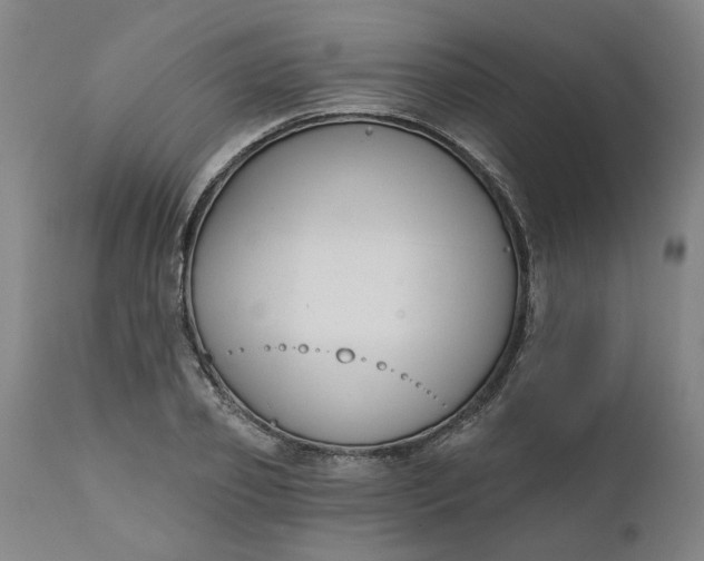 X0000111620933200907311159