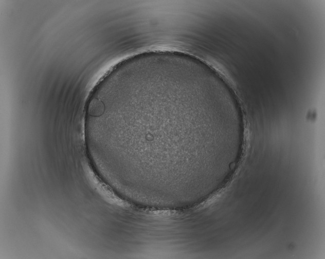 X0000111620934200907311159