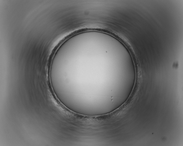 X0000111620935200907311159