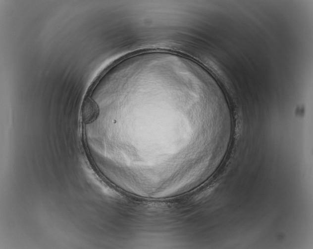 X0000111620940200907311159