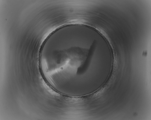 X0000111620941200907311159