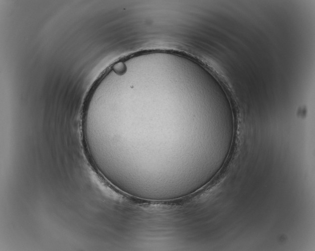 X0000111620942200907311159