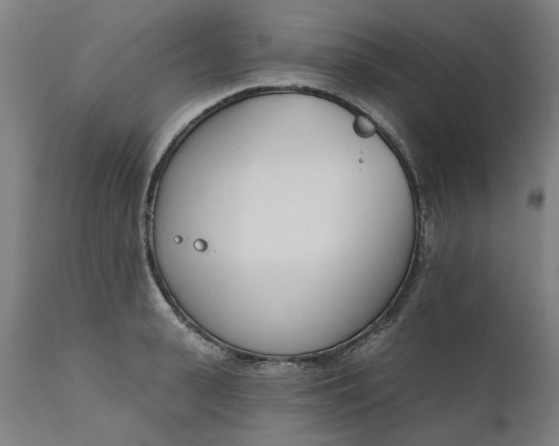 X0000111620943200907311159