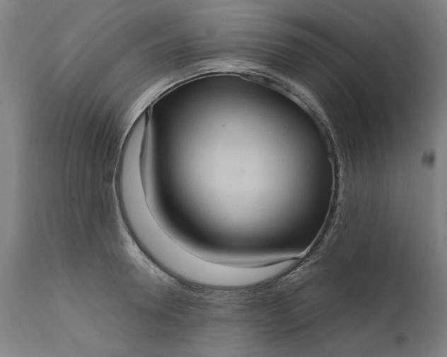 X0000111620946200907311159