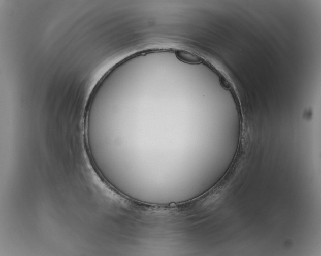 X0000111620951200907311159