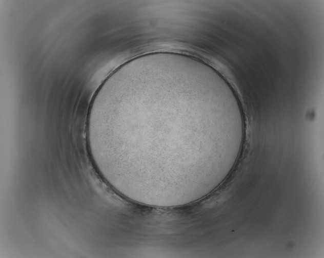 X0000111620954200907311159