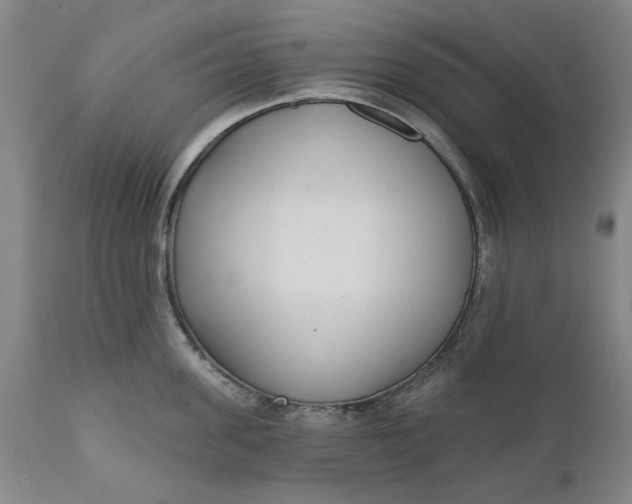 X0000111620955200907311159