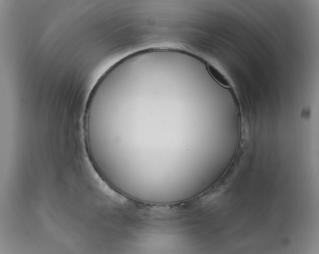 X0000111620959200907311159