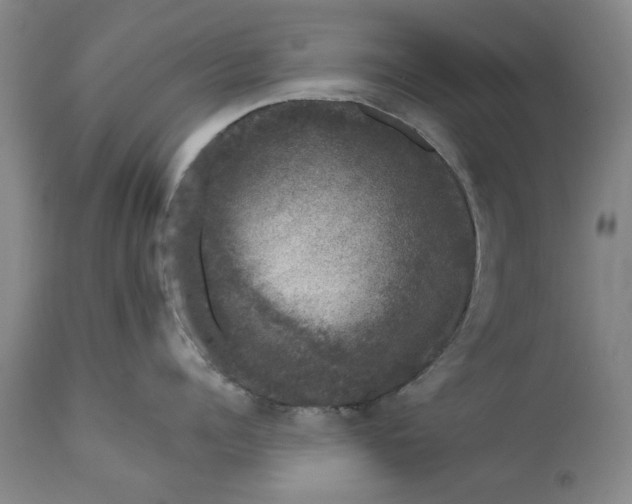 X0000111620960200907311159