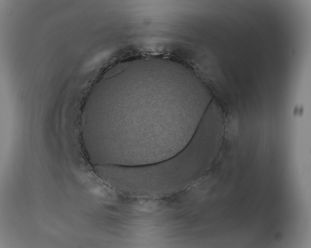 X0000111620961200907311159