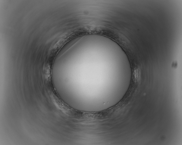 X0000111620963200907311159