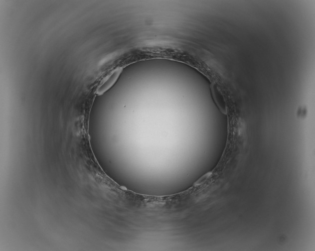 X0000111620965200907311159