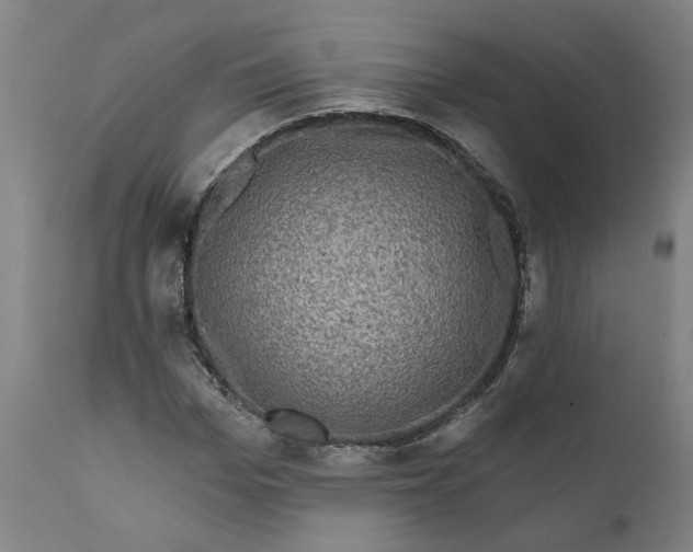 X0000111620969200907311159