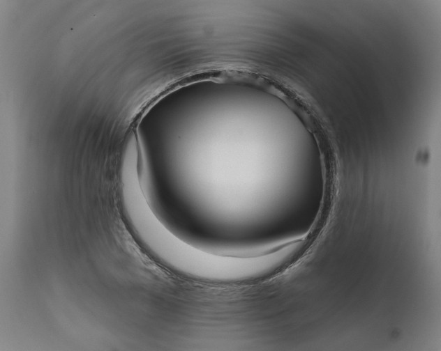 X0000111620977200907311158