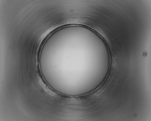 X0000111620980200907311158