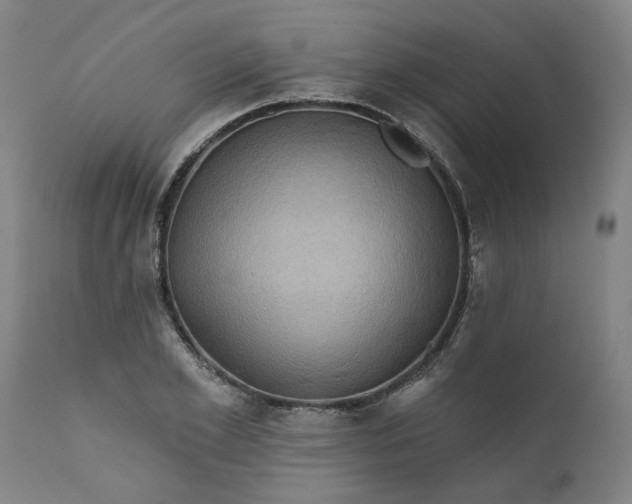 X0000111620981200907311158