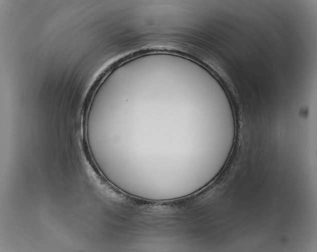 X0000111620984200907311158