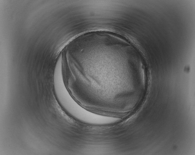 X0000111620985200907311158