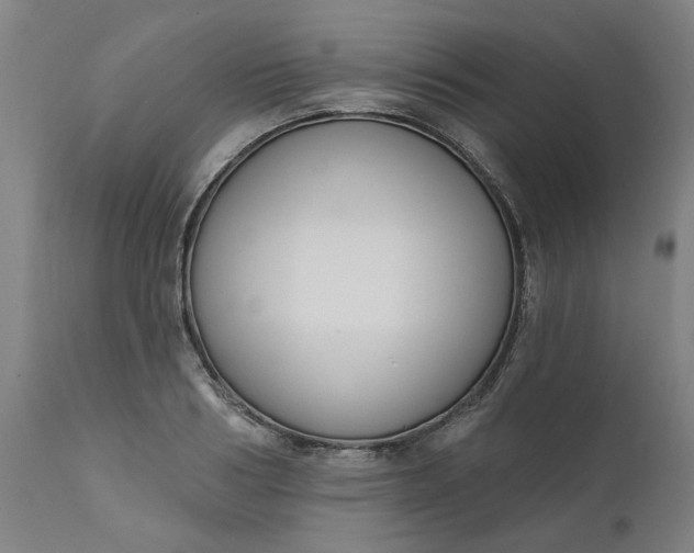 X0000111620986200907311158