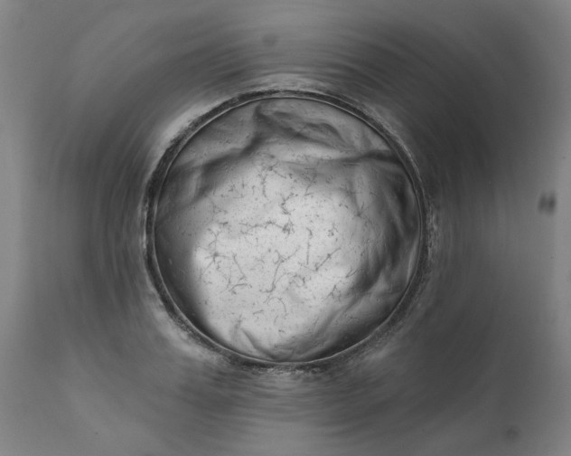 X0000111620987200907311158