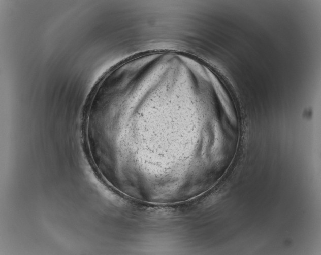 X0000111620991200907311158