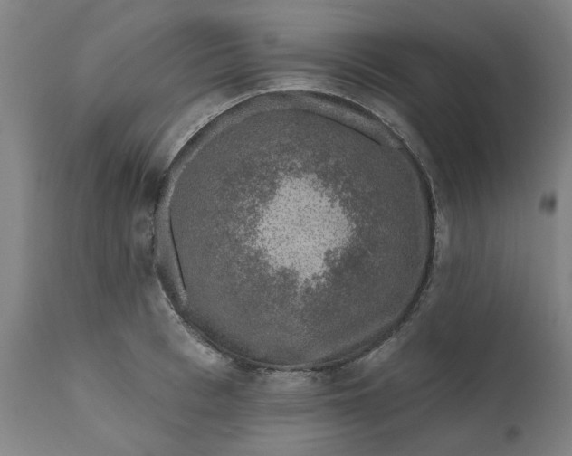 X0000111620993200907311158