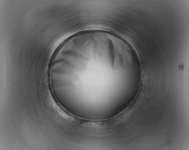 X0000111620995200907311158