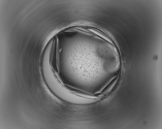 X0000111620997200907311158