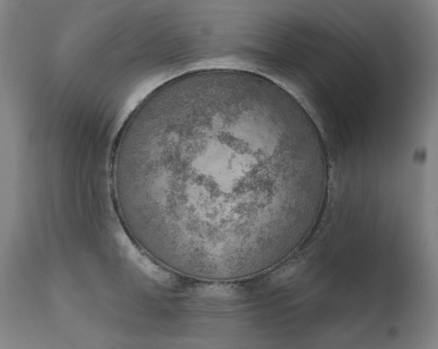 X0000111620998200907311158
