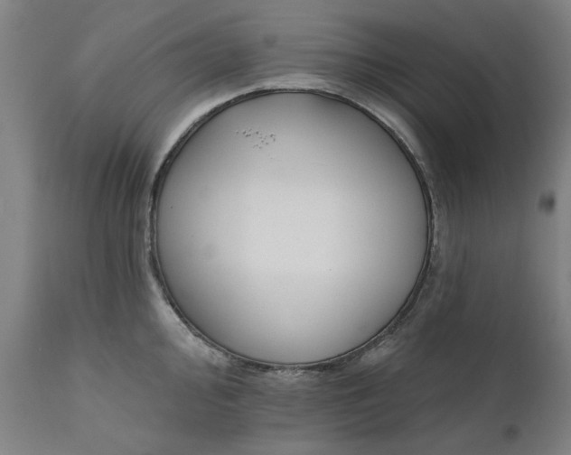 X0000111621000200907311158